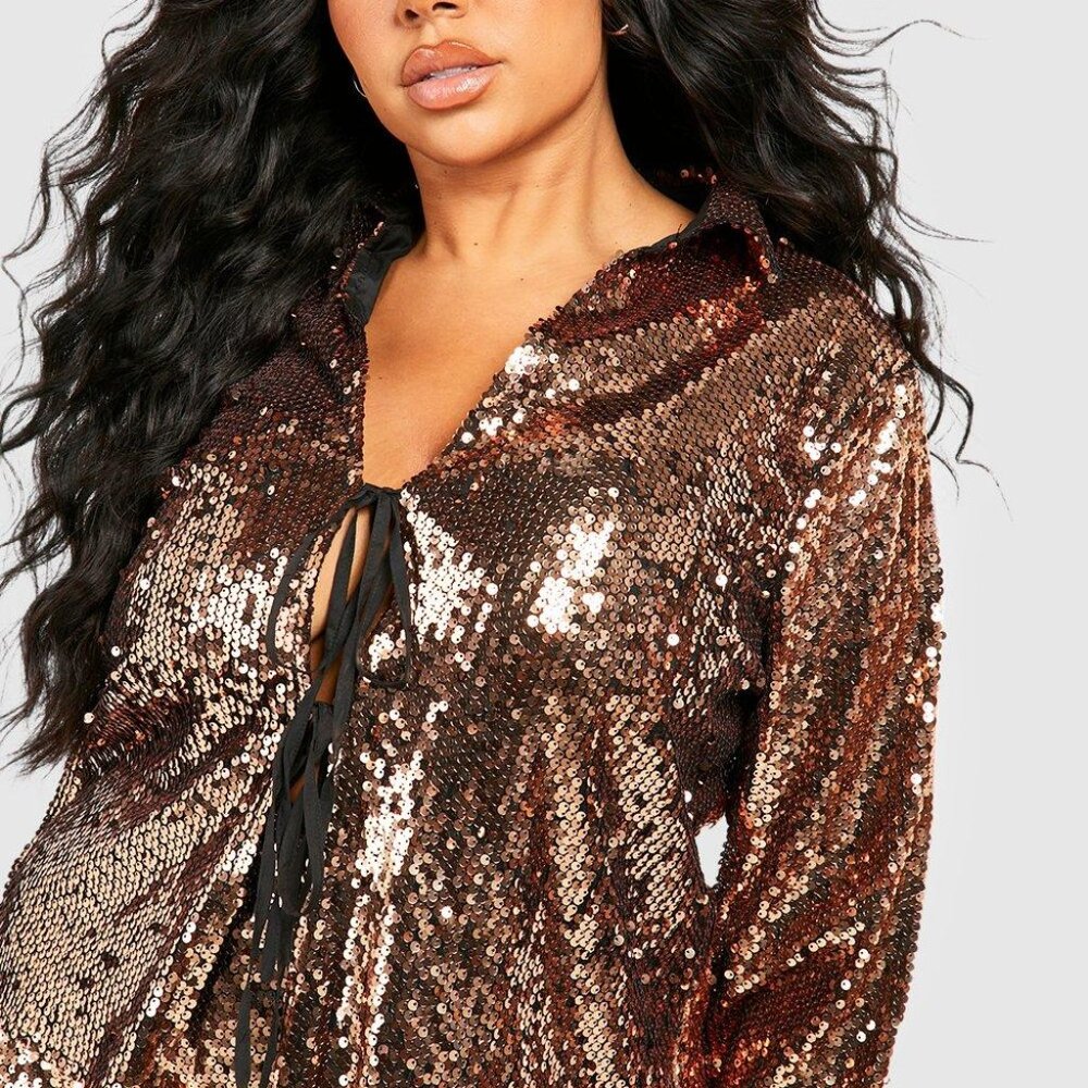 BOOHOO NWT Plus Sheer Taupe  Sequin Tie Front Shirt